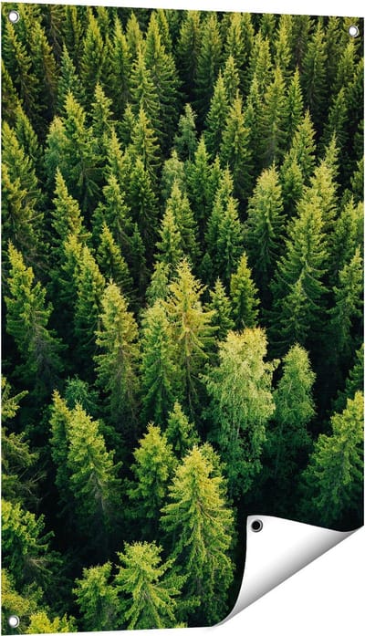 Gards Tuinposter Bos met Bomen vanaf Boven - 60x90 cm - Tuindoek - Tuindecoratie - Wanddecoratie buiten - Tuinschilderij