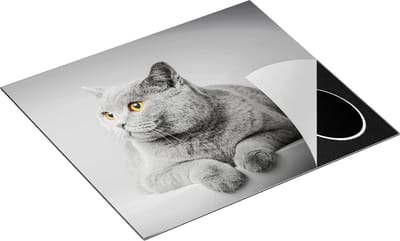 Chefcare Inductie Beschermer Grijze Kat met Oranje Ogen - 60x50 cm - Afdekplaat Inductie - Kookplaat Beschermer - Inductie Mat