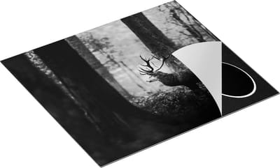 Chefcare Inductie Beschermer Hert in het Bos - Zwart Wit - 60x50 cm - Afdekplaat Inductie - Kookplaat Beschermer - Inductie Mat
