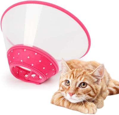 Verstelbare, doorzichtige, gevoerde hondenhalsband - Ademende plastic reddingshalsband - Maat S voor kleine honden en katten (roze)
