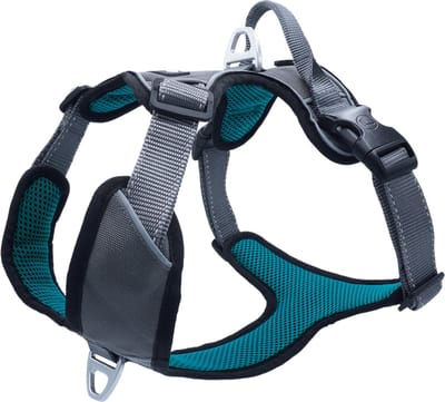 Petlando Hondenharnas Outdoor Grijs&Petrol - Hondentuig - S 45-56 Cm
