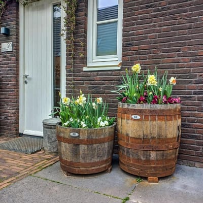 Bloembak Kuip 3/4 Whiskyvat 190L / Fruit of Olijfboom / Plantenkuip / Houten Kuip