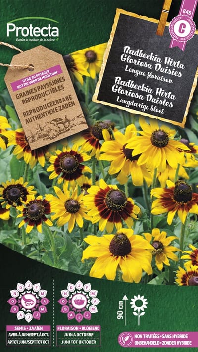 Protecta Bloemen zaden: Rudbeckia Hirta Gloriosa Daisies