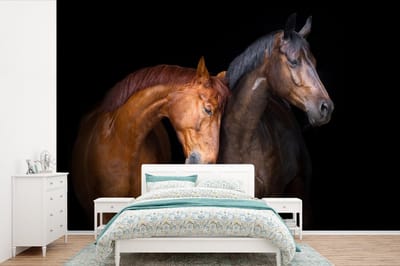 Behang kids - Kinderkamer decoratie - Paarden - Bruin - Dieren - Kinderen - Portret - Muurdecoratie - 600x400 cm - Muurdecoratie kinderkamer - Kinderbehang