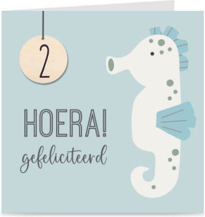 Verjaardagskaart met leeftijd voor kinderen | ZEEPAARDJE | 2 jaar | kaart met envelop | jongen / meisje