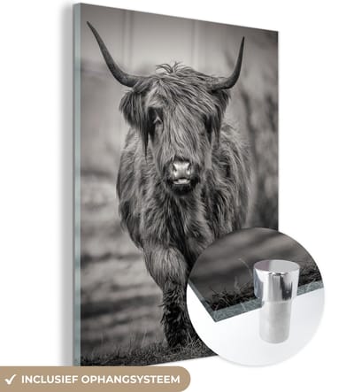 MuchoWow® Glasschilderij 120x160 cm - Schilderij acrylglas - Schotse Hooglander - Zwart - Wit - Foto op glas - Schilderijen
