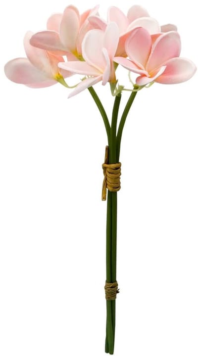Dailygoods- Nep Bloem Boeket - 9 Stuks Latex Plumeria - Lange Steel 29cm - Bruiloft Decoratie - Hawaii Thema - Felle Kleuren - Kunstbloem