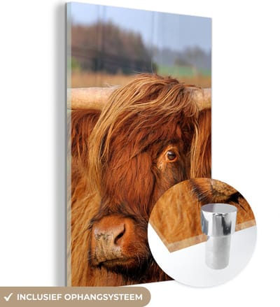 MuchoWow® Glasschilderij 120x180 cm - Schilderij acrylglas - Schotse Hooglander - Gras - Boom - Foto op glas - Schilderijen