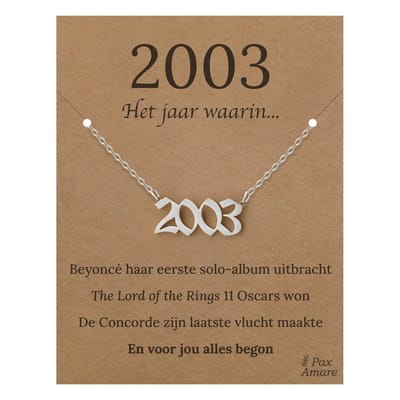 Jaartal 2003 Ketting op Cadeau Kaartje - Zilverkleurig Stainless Steel - 45cm - Met informatie over geboortejaar - Pax Amare