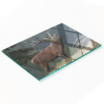 Glazen serveerplank met afbeelding van een hert op een heuvel, 80x52 cm
