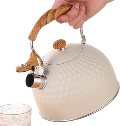 Inductie fluitketel - Waterkoker fornuis - Snel water koken - Grote inhoud 25 liter - 17 x 22 cm - Wit