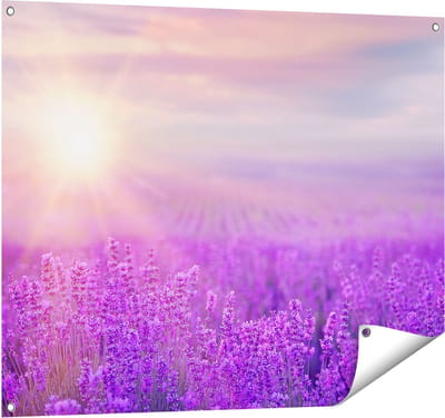 Gards Tuinposter Bloemenveld met Paarse Lavendel - 100x80 cm - Tuindoek - Tuindecoratie - Wanddecoratie buiten - Tuinschilderij