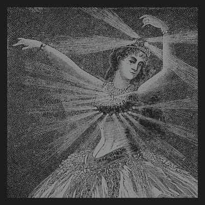 Neutral Milk Hotel - NMH Vinyl Box Set (9 LP) (Coloured Vinyl)