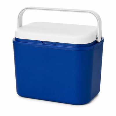 Koelbox 10L - 32.5 x 19.5 x 25.7 - Blauw