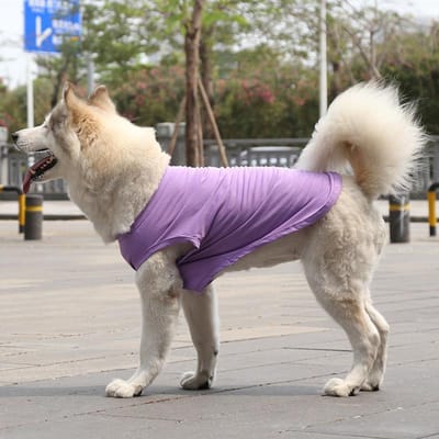 Lente Zomer Kleding Hond Vest Katoen Effen Grote Hond Benodigdheden T-shirt Voor Personalisatie Kleine Middelgrote en Grote Hond Huisdier Producten XXL