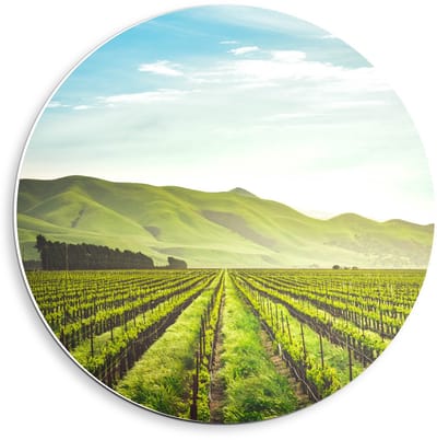 Forex Wandcirkel - Landbouwgrond met Bergen - 40x40cm Foto op Wandcirkel (met ophangsysteem)