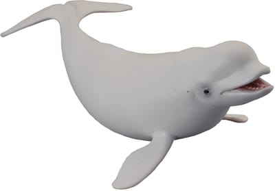 COLLECTA Figurine - Witte Walvis - (L) - Zeedieren - Handgeschilderd - Miniatuur