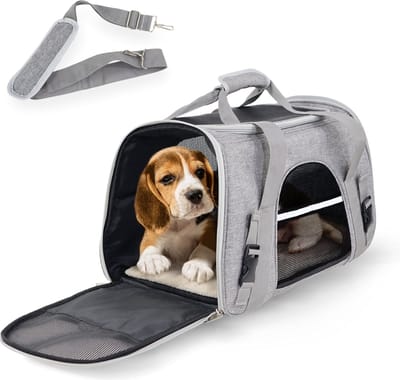 Mobiclinic Bronco - Hondenrugzak - Tot 8 KG - 48 x 25 x 30 cm - Reistas voor katten en honden - Draagtas voor huisdieren - Reismand - Reistas - Inklapbaar - Ventilatienetten - Hondentas - Grijs