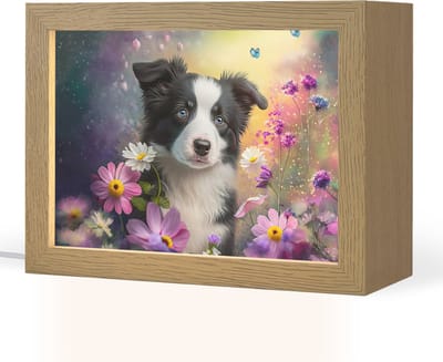 Nachtlampje 20x15 cm - Kinder lampje - Hond - Bloemen - Natuur - Puppy - Bordercollie - Tafellamp kinderkamer - Slaapkamer lamp - Bedlamp kinderen - Kinderlampje stopcontact - Wandlamp babykamer - Nachtlampjes