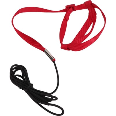 Vogel Leash Bijtbestendig Verstelbaar Papegaai Vlieg Training Touw voor Wandelen Feest Bezoeken Rood S S rood