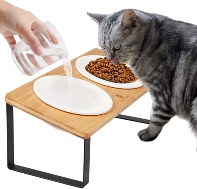 Ergonomisch Katten Voedingsstation met Verhoogde Voederbak en Keramische Schalen voor Comfortabel Eten en Gemakkelijk Schoonmaken