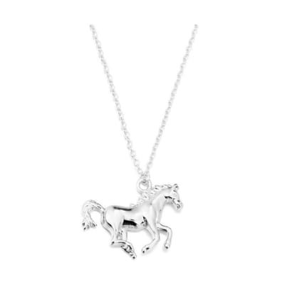 Fashion Favorite Paard Ketting | Zilverkleurig | 45 + 5 cm