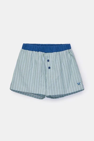 Woody boxershort heren - groen gestreept - 261-10-QLD-W/929 - maat XXL