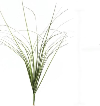 Nep Hond Staart Gras - Kunstgras Bosje - Woonkamer Decoratie - Hoge Mate Simulatie - 42 cm - Groen
