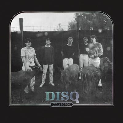 Disq - Collector (CD)