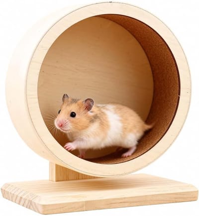 Stil Hamsterwiel van 15 cm van Barrel Wood voor Hamsters, Gerbils en Chinchilla's, Ideaal voor Speelplezier en Beweging