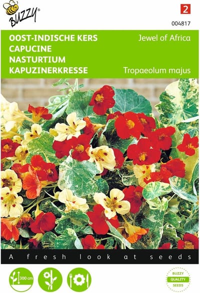 2 stuks - Buzzy - Tropeaolum majus Jewel of Africa