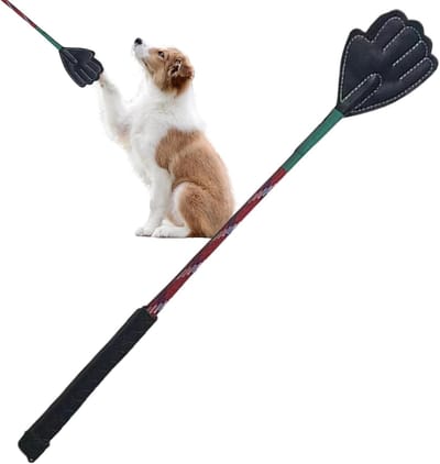 Hondentrainingsstok - Hondenflirtstok - Puppy Training - Ergonomische Handgreep - 45cm Lengte - Willekeurige Kleur