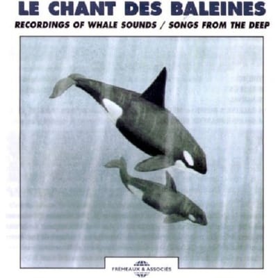 Le Chant Des Baleines - Whales Recordings / Songs - Sons De La Nature
