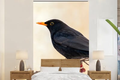 Behang - Fotobehang Merel - Vogel - Takken - Bes - Rood - Breedte 195 cm x hoogte 300 cm