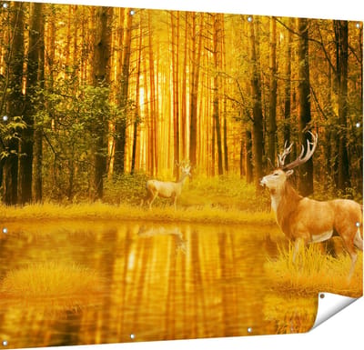 Gards Tuinposter Twee Herten in het Bos bij het Water - 150x120 cm - Tuindoek - Tuindecoratie - Wanddecoratie buiten - Tuinschilderij
