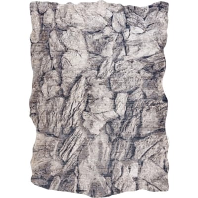 Kleden Rugsx Tapijt TINE 75417A Rots , steen - 160x220 cm