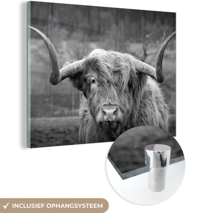 MuchoWow® Glasschilderij 160x120 cm - Schilderij acrylglas - Schotse Hooglander - Koeienkop - Landschap - Natuur - Koe - Foto op glas - Schilderijen