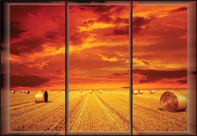 Fotobehang Field Gold Pasture  | XL - 208cm x 146cm | 130g/m2 Vlies
