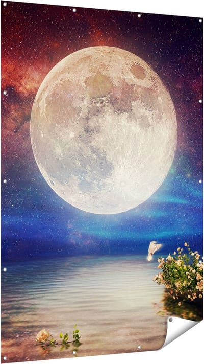 Gards Tuinposter Volle Maan in de Hemel boven het Water - 120x180 cm - Tuindoek - Tuindecoratie - Wanddecoratie buiten - Tuinschilderij