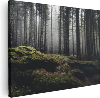 Artaza Canvas Schilderij Mos - 40x30 cm - Klein - Wanddecoratie Bos - Muurdecoratie Landschap - Kamer Accessoires Natuur