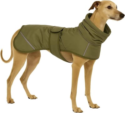Hondenjas – Flamingo Cujo – honden jas – hondenjasjes winter – hondenjas waterdicht – 50 cm – A:50cm B:58cm C:58-67cm – groen