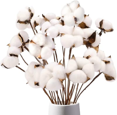 Natuurlijke Katoenen Takken voor Decoratie | 8 Stelen met 15 Bollen | Droogbloemen voor Vaas