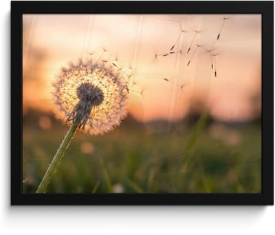 Poster in lijst - Fotolijst 40x30 cm - Posters - Paardenbloem - Zonsondergang - Veld - Posterlijst zwart - Decoratie - Wanddecoratie woonkamer - Muurdecoratie slaapkamer