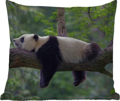 Tuinkussen - Panda - Boom - Dieren - Natuur - 40x40 cm - Weerbestendig