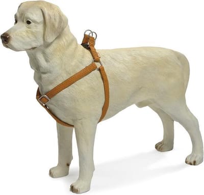 Beeztees - Hondentuig - Mac Leather - Bruin - 50-75 cm