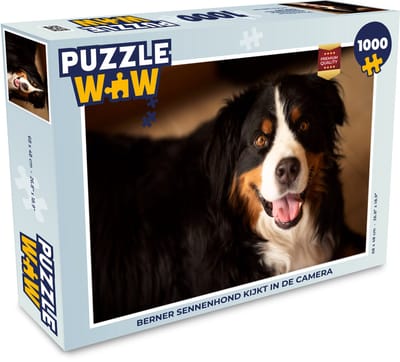 Puzzel Berner Sennenhond kijkt in de camera - Legpuzzel - Puzzel 1000 stukjes volwassenen