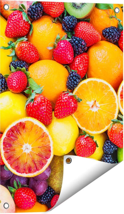 Gards Tuinposter Kleurrijke Fruit Achtergrond - 40x60 cm - Tuindoek - Tuindecoratie - Wanddecoratie buiten - Tuinschilderij