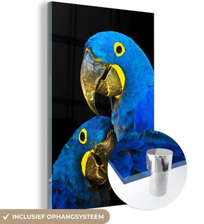 MuchoWow® Glasschilderij 120x180 cm - Schilderij acrylglas - Papegaai - Vogel - Veren - Blauw - Foto op glas - Schilderijen