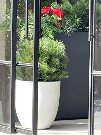 Kunststruik Pinus Den 60 cm UV