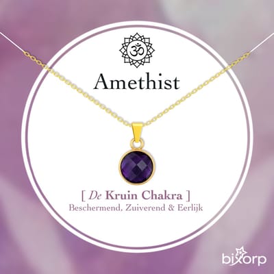 Bixorp Amethist Rondje Ketting - S925 Zilveren Ketting - Facetgeslepen Ronde Edelsteen Hanger - Minimalistische Bedel - 45cm + 5cm verstelbaar